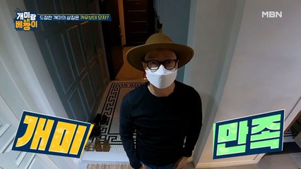 카우보이모자 쓰고 XX 따는 도정한 술개미의 아침 일상!