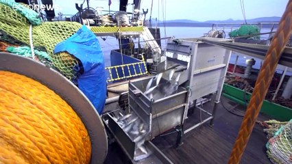 Entre Moscou et Tokyo, la dispute des îles Kouriles refait surface