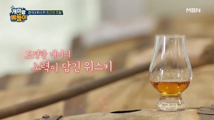 위스키에 김치를 싸서 드셔보세요?! 대망의 K-위스키 두두등장!