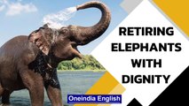 Thailand's elephants face abuse in tourism industry | Oneindia News