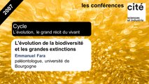 L'évolution de la biodiversité et les grandes extinctions