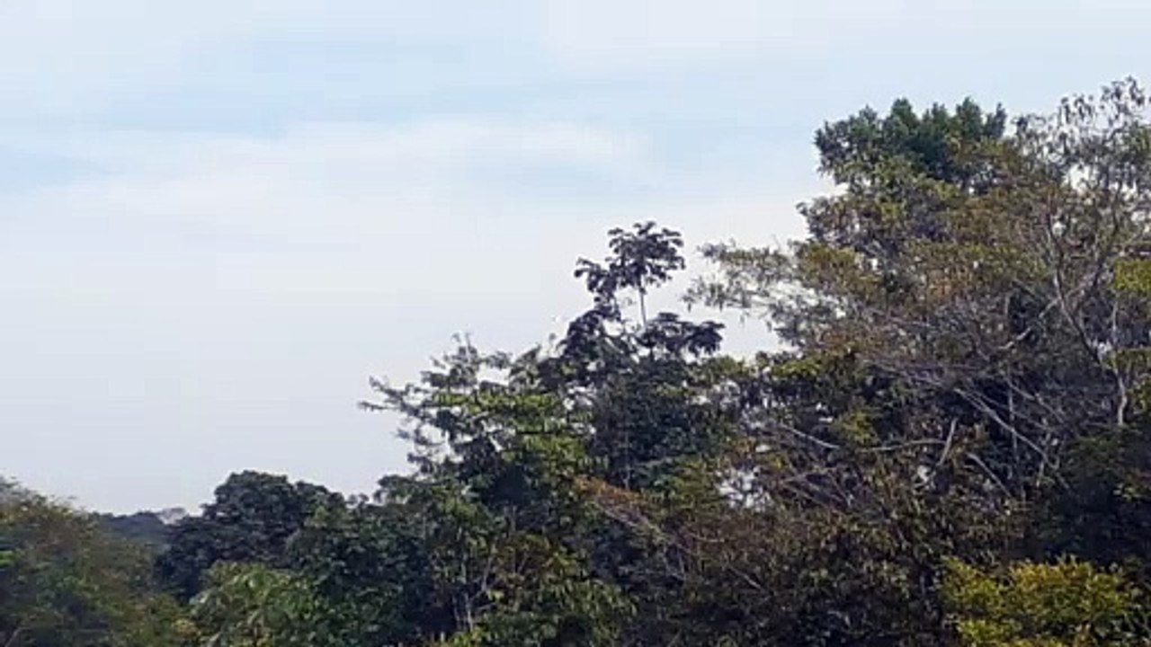 Airbus A320 PR-MYW na aproximação final antes de pousar em Manaus vindo de Guarulhos