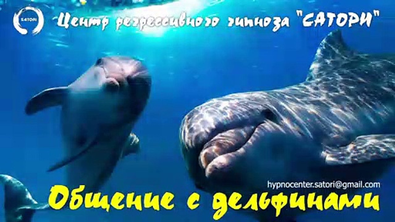 10. Регрессивный гипноз. Общение с дельфинами и не только