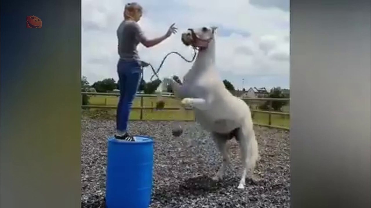 Experiencing Regret - Part 4