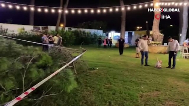 Ünlü oyuncu Ayşegül Çınar'ın 6 yıla kadar hapsi istendi