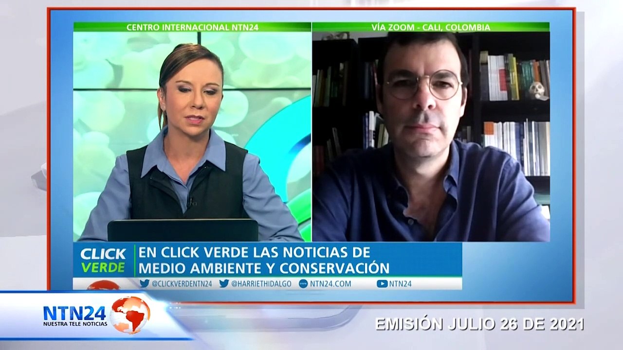 Alerta en el Amazonas: mueren en incendios forestales 1.400 jaguares en los últimos cinco años