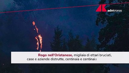 Incendi in Sardegna, devastati migliaia di ettari