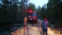UŞAK - 9 farklı noktada çıkan orman yangınları söndürüldü