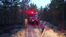 9 farklı noktada çıkan orman yangınları söndürüldü