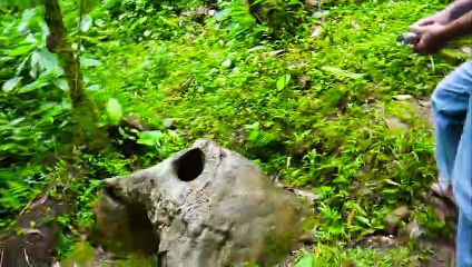 FIGURAS NATURALES A PIEDRA / MAYCOL RODRIGUEZ