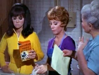 That Girl S04E10 Fix My Screen and Bug Out