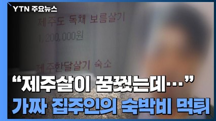 [제보는Y] "제주살이 꿈꿨는데"...가짜 집주인의 숙박비 '먹튀' / YTN