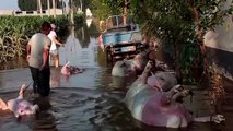 WARNING - GRAPHIC CONTENT - Chinese farmers see livelihoods washed away by floods