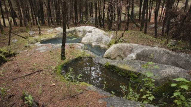 Cuidado del bosque ayuda a abastecer de agua ante sequías en México