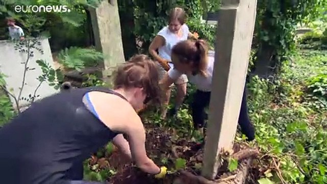 Уборка на еврейском кладбище Будапешта