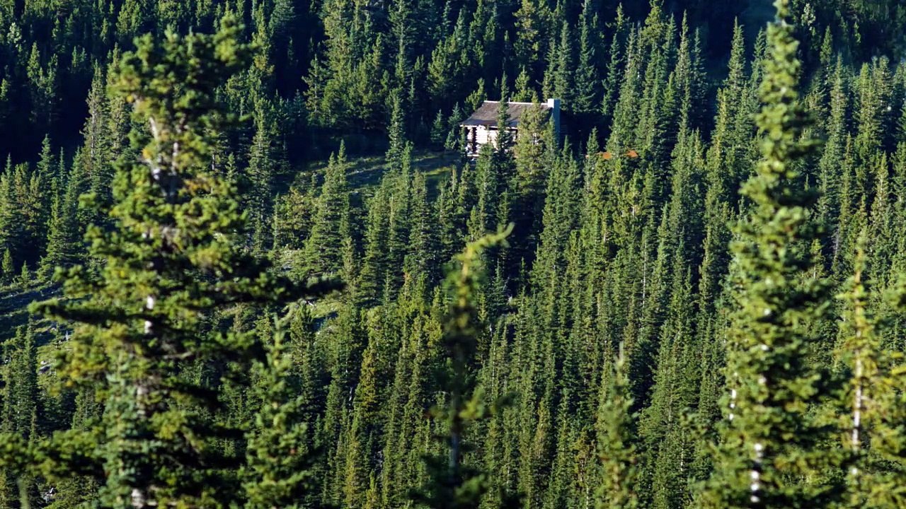 Film Tipp | ABSEITS DES LEBENS