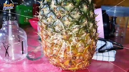 6 ORANG YG TIDAK BOLEH MAKAN BUAH NANAS