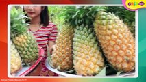 5 Manfaat Buah Nanas untuk Kesehatan Tubuh, Salah Satunya untuk Mencegah Kanker