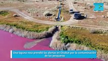 Una laguna rosa prendió las alertas en Chubut por la contaminación de las pesqueras