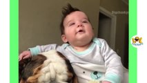 Cute babies and pets compilation - Adorable Babies Play