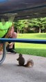 Squirrel Enjoys Listening to the Saxophone at the Park