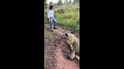 Crazy Crocodile encounters - When animals attack tik tok