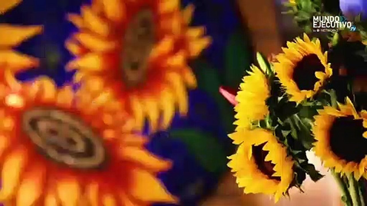 Mundo Ejecutivo TV (551)