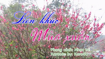 Liên khúc mùa xuân Karaoke - Tone nam trung [Kara4U]