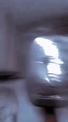 Short Clip