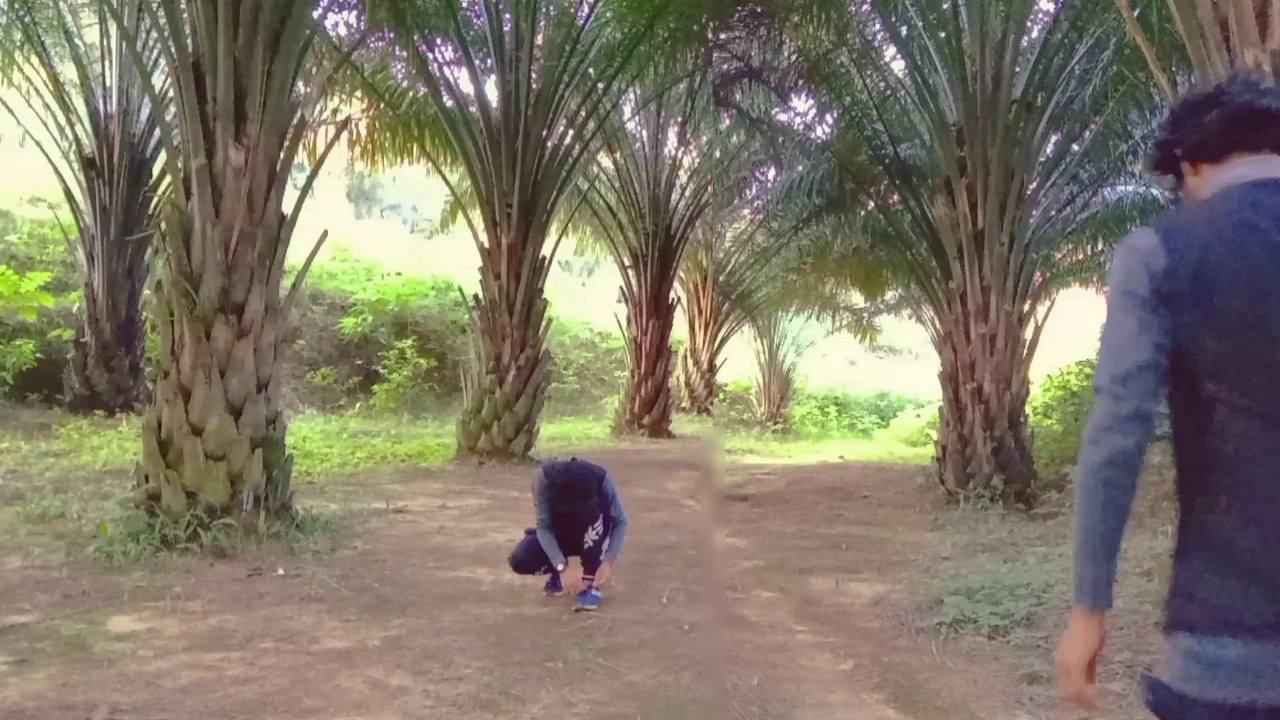 Mix Hindi Song Dance And fight video || New Fight Video 2021 Tiger Bawree || #Fight