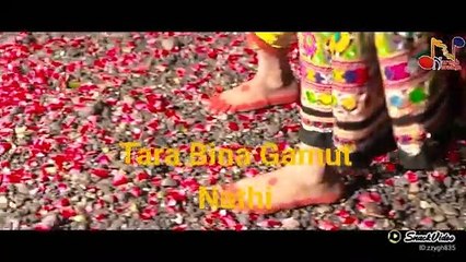 Tara Bina Gamtu Nathi