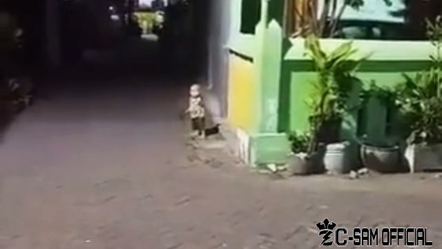 (Ada Yang Aneh) Dini Hari Main Sama Siapa Tuh