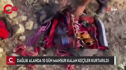 Dağlık alanda 10 gündür mahsur kalan keçiler kurtarıldı