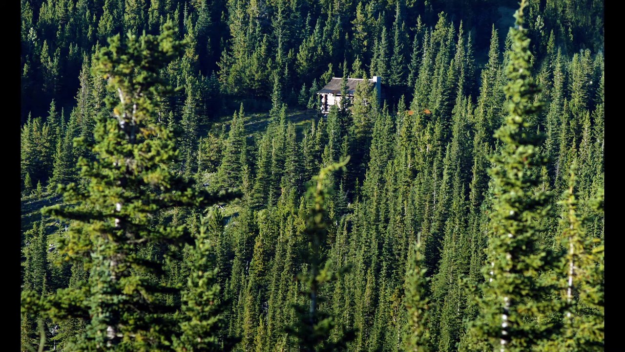 Abseits des Lebens Film