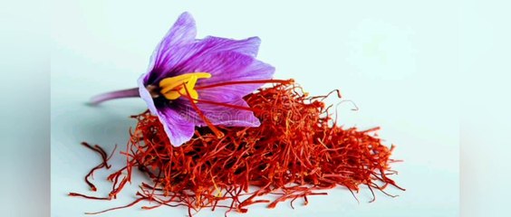 Top 10 expensive food items in the world. Can you guess the #1?