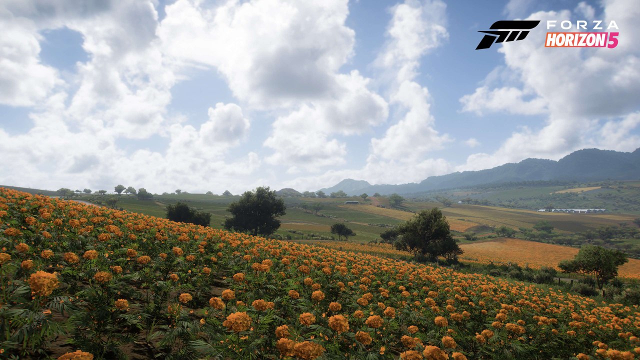 Forza Horizon 5 - Aperçu du biome Farmland