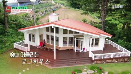 건축탐구- 집 - 한 여름, 숲속의 집_#001