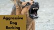 Aggressive Dog Barking Sound Effect | Kingdom Of Awais
