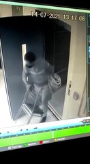 Pendik'te şahsın apartmandan kablo çaldığı anlar kamerada