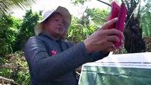 Amazzonia: indigeni armati di droni e smartphone contro la deforestazione (e funziona)