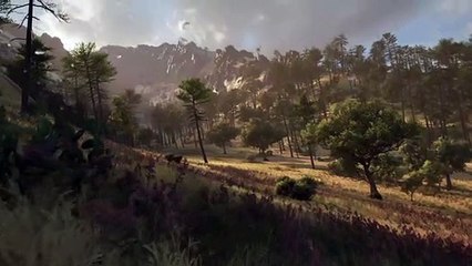 Forza Horizon 5 - Bioma Volcán