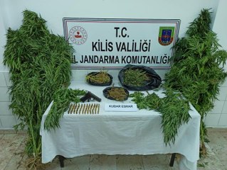 Evlerinin bahçesinde Hint keneviri yetiştirdikleri öne sürülen 2 zanlı tutuklandı