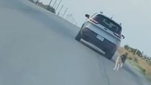 Ce chien court après la voiture de son maître qui vient de l'abandonner au bord de la route, avant d'être sauvé