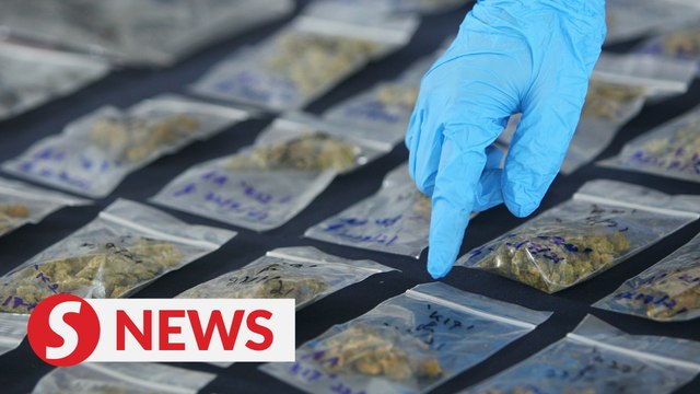 PJ cops nab Middle Eastern students for drug trafficking