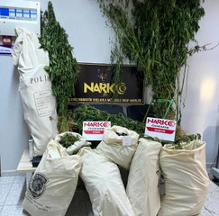 Son dakika haber... İzmir'de uyuşturucu operasyonu: 1 gözaltı