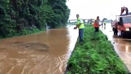 Beklenen yağış başladı: Rize'de dereler taştı