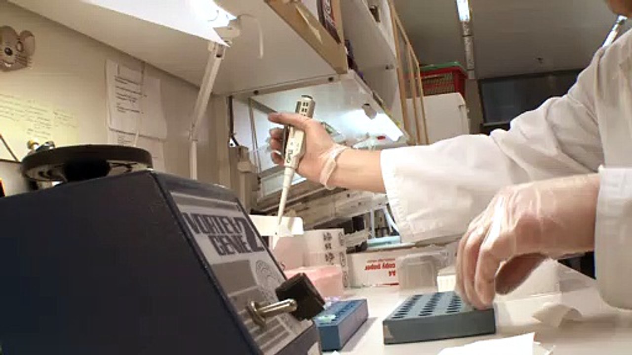 Heute vor 100 Jahren: Durchbruch an der Diabetes-Front