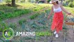 Amazing Earth: Meet the Pinay farmer who grows Philippine crops in Serbia!