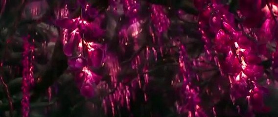 Disney's Jungle Cruise