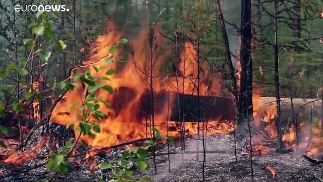 Якутия: лесные пожары тушат волонтеры